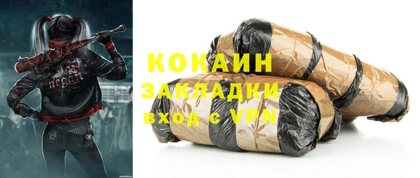 твердый Краснослободск