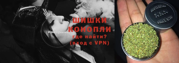 твердый Краснослободск