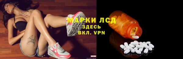 твердый Краснослободск