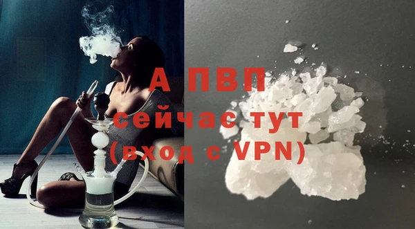 индика Чекалин