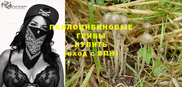 твердый Краснослободск